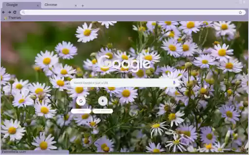 Kalimeris  from Chrome web store to be run with OffiDocs Chromium online