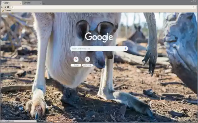 Kangaroo from Chrome web store to be run with OffiDocs Chromium online Kangaroo from Chrome web store to be run with OffiDocs Chromium online