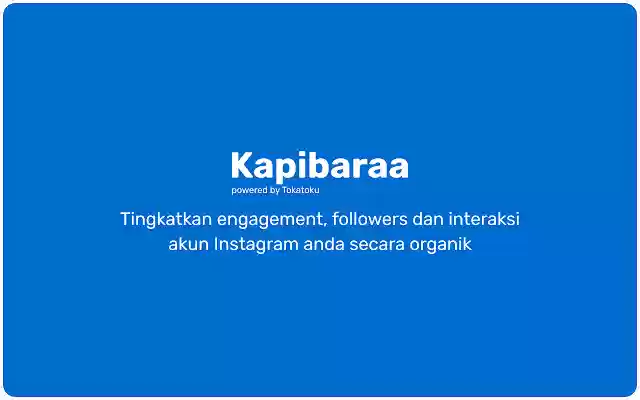 Kapibaraa Extension, powered by Tokatoku  from Chrome web store to be run with OffiDocs Chromium online