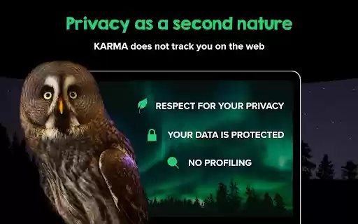 KARMA | Search to make a difference  from Chrome web store to be run with OffiDocs Chromium online