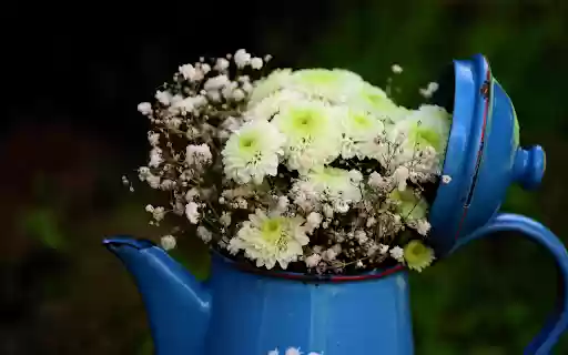 Kettle and flowers  from Chrome web store to be run with OffiDocs Chromium online