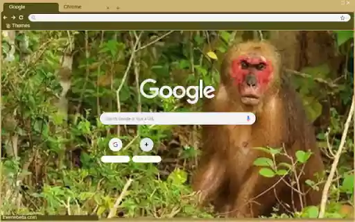 Khi dau do  from Chrome web store to be run with OffiDocs Chromium online