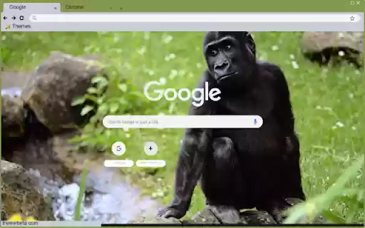 Khi Gorilla ze sklepu internetowego Chrome będzie uruchamiany online z OffiDocs Chromium