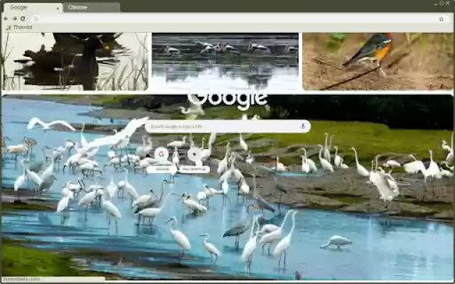 Khu sinh thái Giao Xuân  from Chrome web store to be run with OffiDocs Chromium online