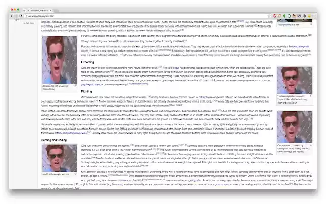 Kitten Blocker  from Chrome web store to be run with OffiDocs Chromium online