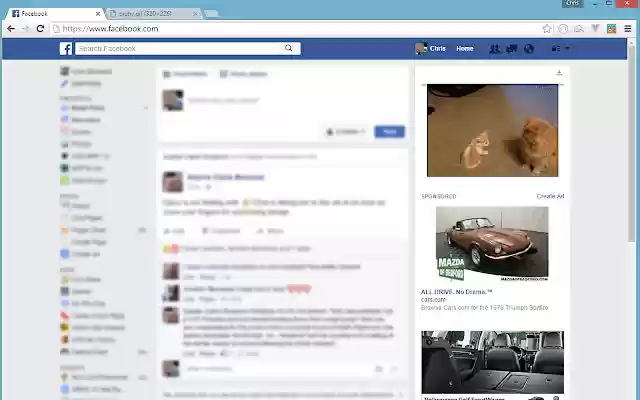 Kittens are Always Trending  from Chrome web store to be run with OffiDocs Chromium online