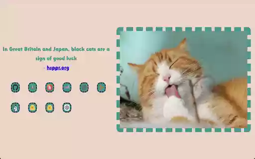 Kitty Home  from Chrome web store to be run with OffiDocs Chromium online