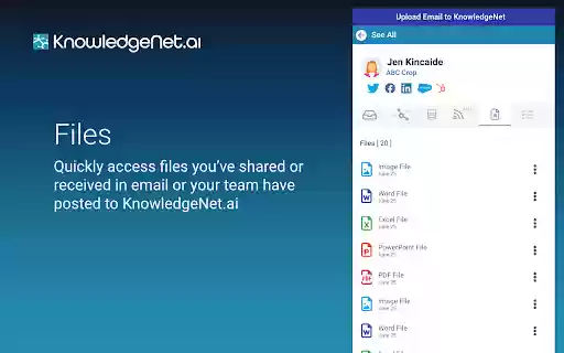 KnowledgeNet.ai Extension  from Chrome web store to be run with OffiDocs Chromium online