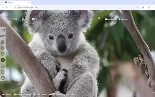 Koala Wallpaper  from Chrome web store to be run with OffiDocs Chromium online