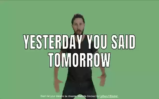 LaBeouf Blocker  from Chrome web store to be run with OffiDocs Chromium online