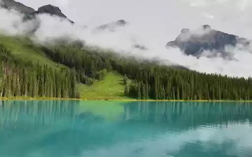 Lake next to the forest  from Chrome web store to be run with OffiDocs Chromium online