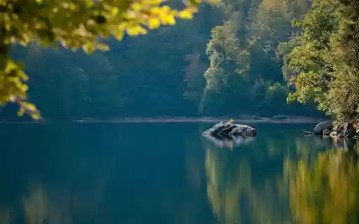 Lake of trees and rocks  from Chrome web store to be run with OffiDocs Chromium online