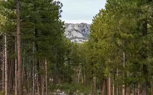 Landscape Photography of a Forest from Chrome web store to be run with OffiDocs Chromium online Landscape Photography of a Forest from Chrome web store to be run with OffiDocs Chromium online
