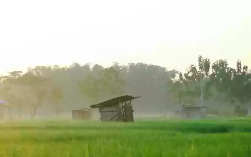 Landscape Photography of a Rice Field from Chrome web store to be run with OffiDocs Chromium online Landscape Photography of a Rice Field from Chrome web store to be run with OffiDocs Chromium online