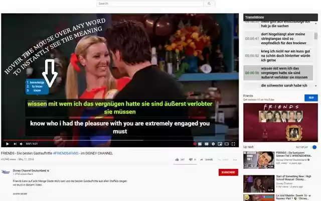 Language Learning with Netflix™  from Chrome web store to be run with OffiDocs Chromium online