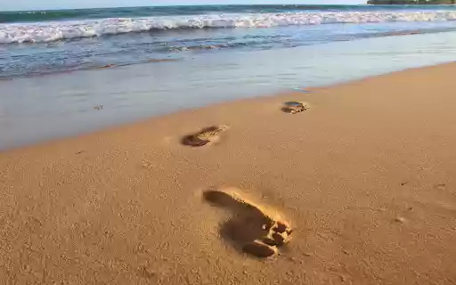 Large footprints in the sand  from Chrome web store to be run with OffiDocs Chromium online