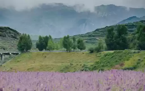 Lavender Hills and Misty Peaks  from Chrome web store to be run with OffiDocs Chromium online