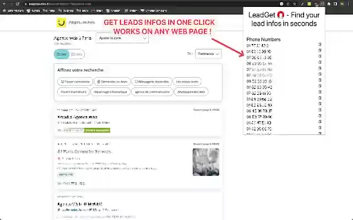 Leadget  from Chrome web store to be run with OffiDocs Chromium online