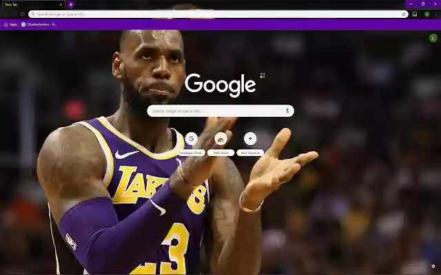 LeBron James Theme  from Chrome web store to be run with OffiDocs Chromium online