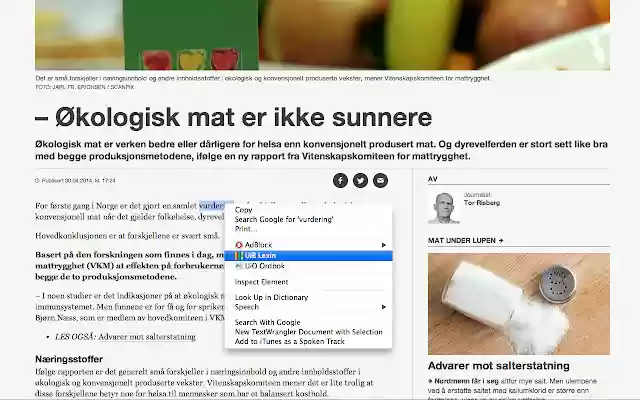 Lexin  from Chrome web store to be run with OffiDocs Chromium online