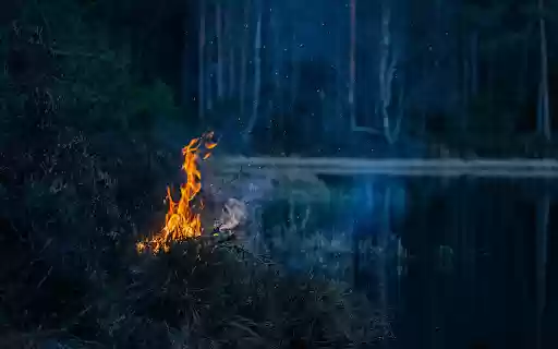 Light a fire in the forest from Chrome web store to be run with OffiDocs Chromium online Light a fire in the forest from Chrome web store to be run with OffiDocs Chromium online