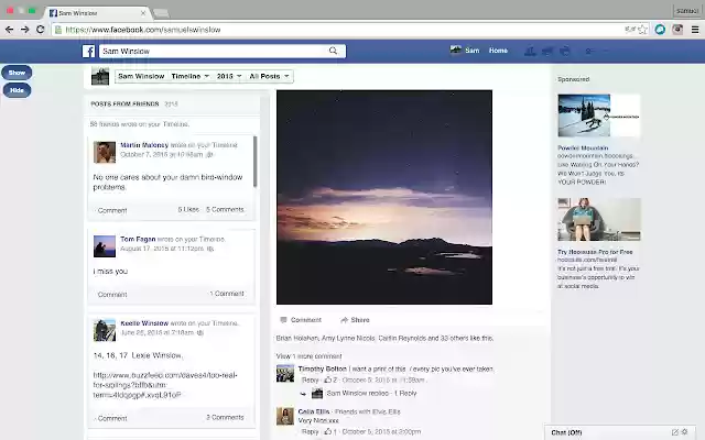 LikeGuard  from Chrome web store to be run with OffiDocs Chromium online