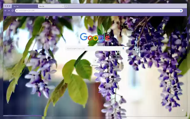 Lilac  from Chrome web store to be run with OffiDocs Chromium online