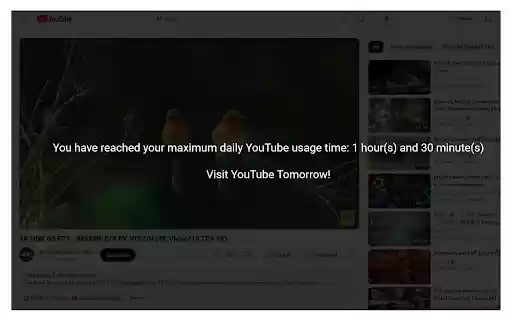 Chrome 网上应用店的 LimitTube 将与 OffiDocs Chromium 在线运行