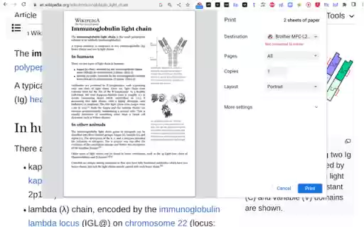 lines off  from Chrome web store to be run with OffiDocs Chromium online