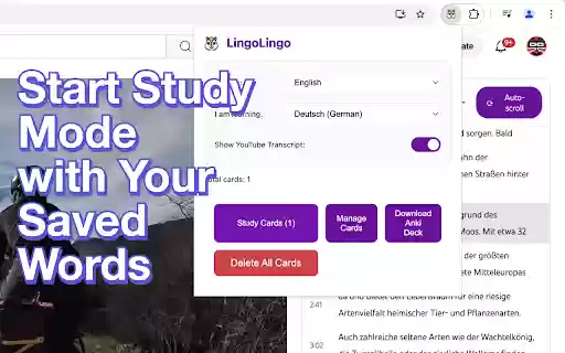 LingoLingo AI Language Learning  from Chrome web store to be run with OffiDocs Chromium online