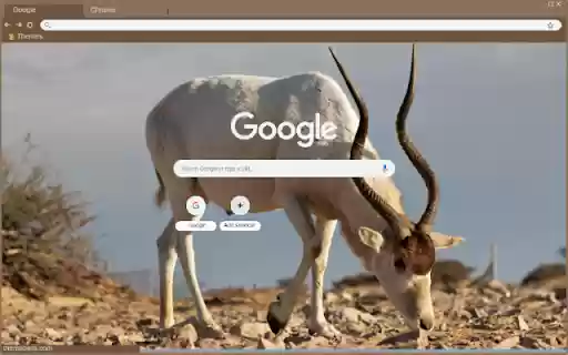 Linh Duong  from Chrome web store to be run with OffiDocs Chromium online