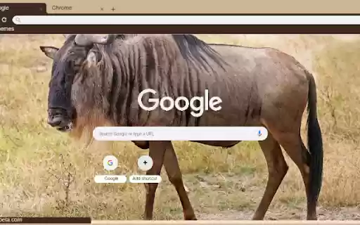 Linh duong dau bo from Chrome web store to be run with OffiDocs Chromium online Linh duong dau bo from Chrome web store to be run with OffiDocs Chromium online