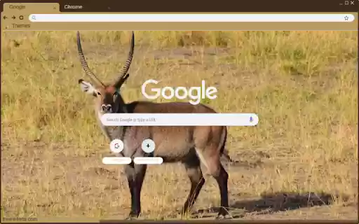 Linh Duong Waterbuck from Chrome web store to be run with OffiDocs Chromium online Linh Duong Waterbuck from Chrome web store to be run with OffiDocs Chromium online