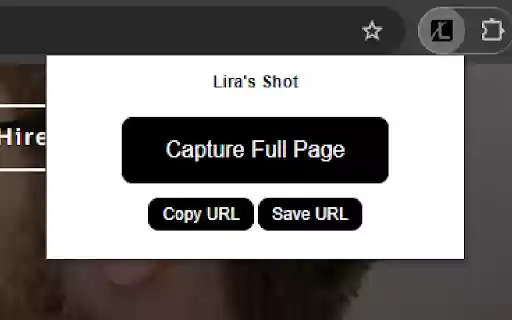 Liras Shot  from Chrome web store to be run with OffiDocs Chromium online