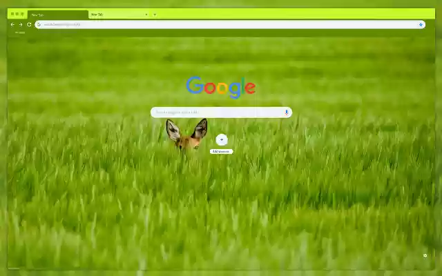 Little deer in the grass from Chrome web store to be run with OffiDocs Chromium online Little deer in the grass from Chrome web store to be run with OffiDocs Chromium online