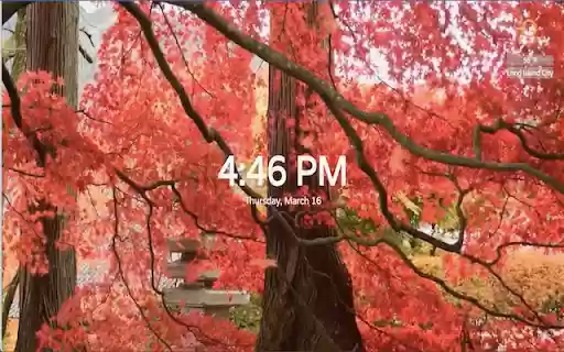 Live Wallpaper  from Chrome web store to be run with OffiDocs Chromium online