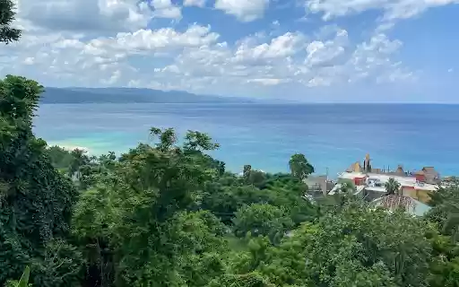 Living in the middle of the sea and forest  from Chrome web store to be run with OffiDocs Chromium online