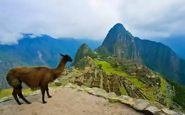 Llama New Tab from Chrome web store to be run with OffiDocs Chromium online Llama New Tab from Chrome web store to be run with OffiDocs Chromium online