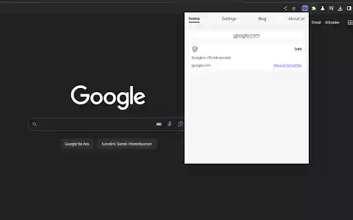 LN.FO The Web Site Content Explainer Info  from Chrome web store to be run with OffiDocs Chromium online