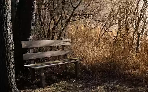 Lonely chair  from Chrome web store to be run with OffiDocs Chromium online