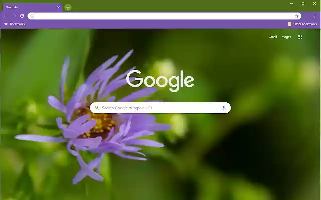 Lone Purple Flower  from Chrome web store to be run with OffiDocs Chromium online