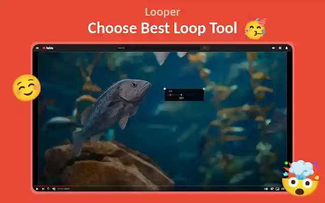 Looper  from Chrome web store to be run with OffiDocs Chromium online