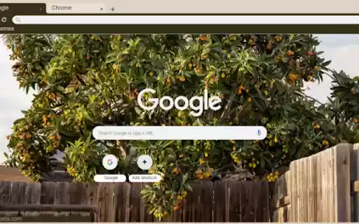 Loquat Tree  from Chrome web store to be run with OffiDocs Chromium online