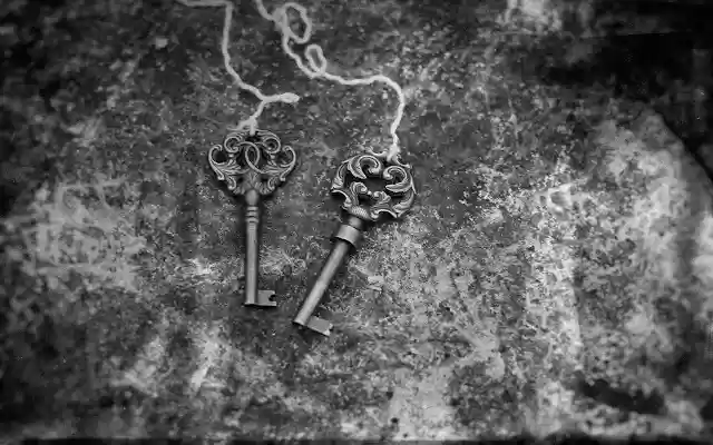 love keys  from Chrome web store to be run with OffiDocs Chromium online