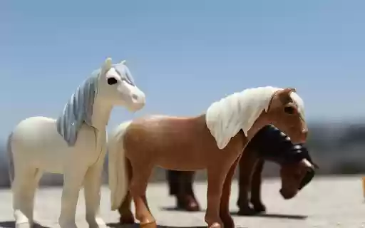 Lovely horses  from Chrome web store to be run with OffiDocs Chromium online