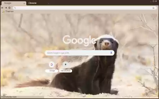 Lung  from Chrome web store to be run with OffiDocs Chromium online