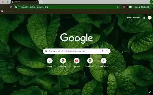 Lush Foliage  from Chrome web store to be run with OffiDocs Chromium online