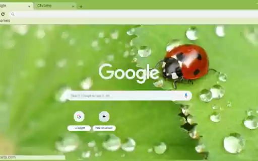 Macro Ladybug on Leaf  from Chrome web store to be run with OffiDocs Chromium online