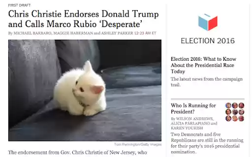 Make America Kittens Again from Chrome web store to be run with OffiDocs Chromium online Make America Kittens Again from Chrome web store to be run with OffiDocs Chromium online