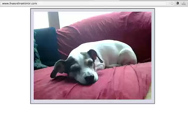 Makeup Mirror  from Chrome web store to be run with OffiDocs Chromium online